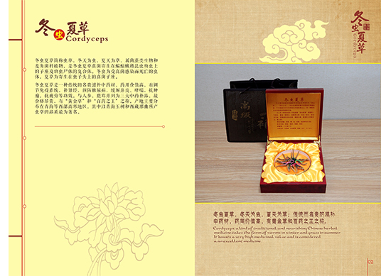 &#108;&#111;&#103;&#105;&#110;&#95;&#35946;&#38376;&#22269;&#38469;