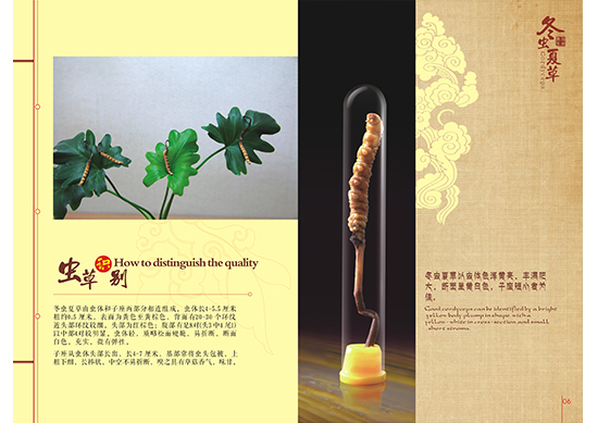 &#108;&#111;&#103;&#105;&#110;&#95;&#35946;&#38376;&#22269;&#38469;