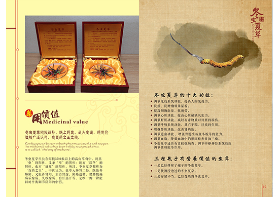 &#108;&#111;&#103;&#105;&#110;&#95;&#35946;&#38376;&#22269;&#38469;