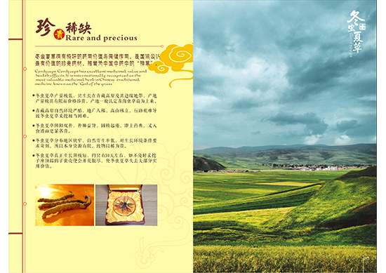 &#108;&#111;&#103;&#105;&#110;&#95;&#35946;&#38376;&#22269;&#38469;