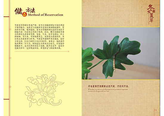 &#108;&#111;&#103;&#105;&#110;&#95;&#35946;&#38376;&#22269;&#38469;